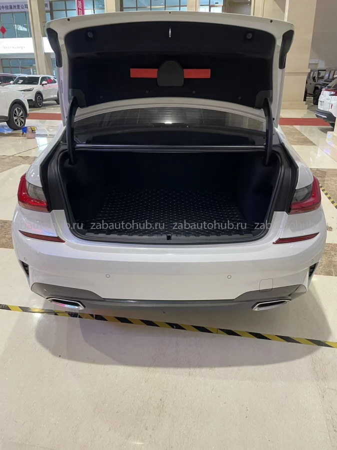 BMW 3 series 320Li