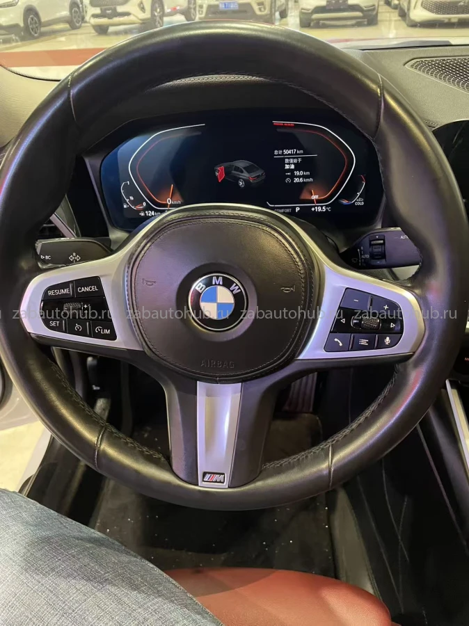 BMW 3 series 320Li